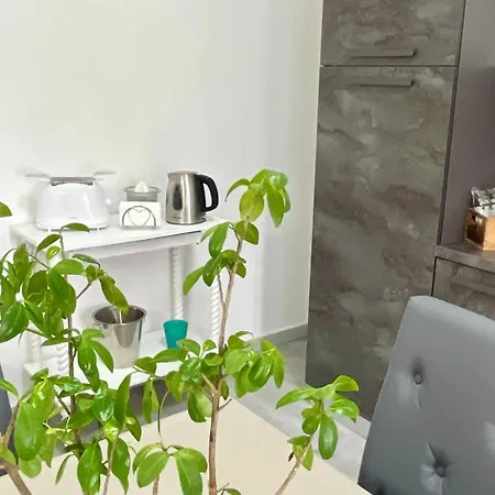 Jocy Spacious 3 Bed With Private Parking Ideal For Groups